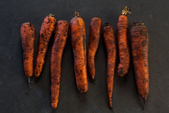 alle Bilder © Uta Rauser 2013 – www.uta-rauser.de