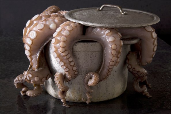 Oktopus, © Uta Rauser