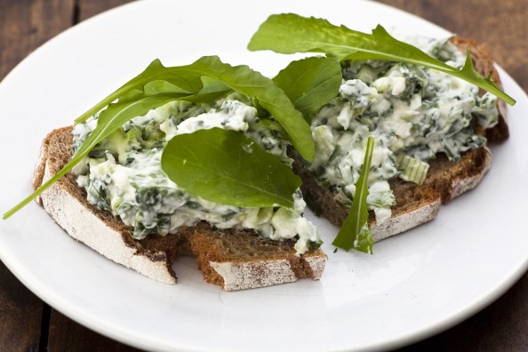 alle Bilder © Uta Rauser, 2014