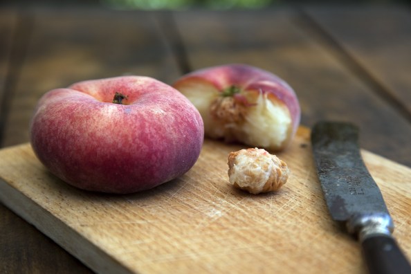 14017_20140615_0533_Aus