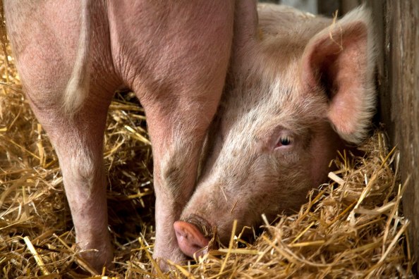 © Uta Rauser, 2015; www.uta-rauser.de