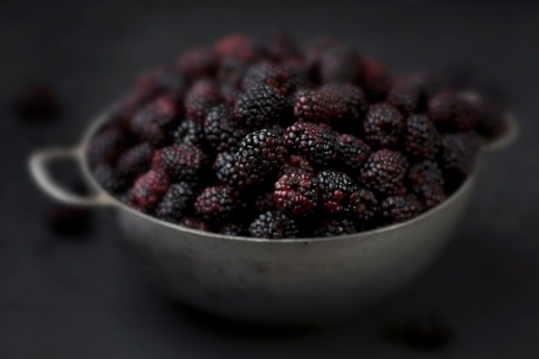 Schale mit Brombeeren