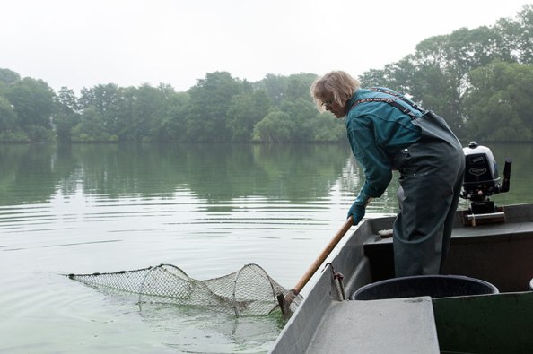 Sabine Schwarten holt eine Reuse ein